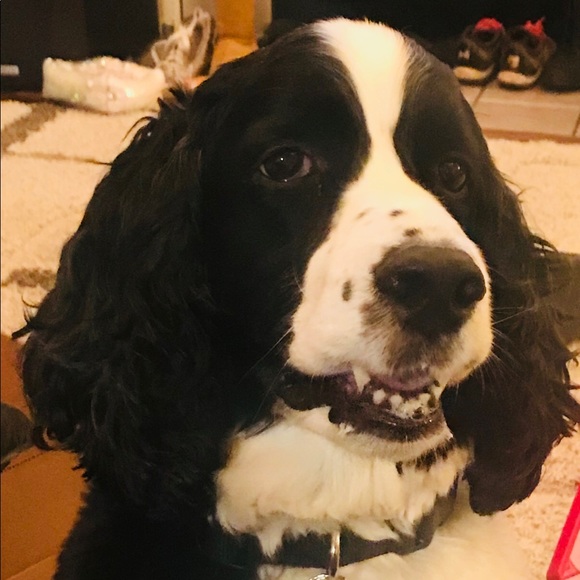 Meet your Posher, Lisa - Picture 1 of 1